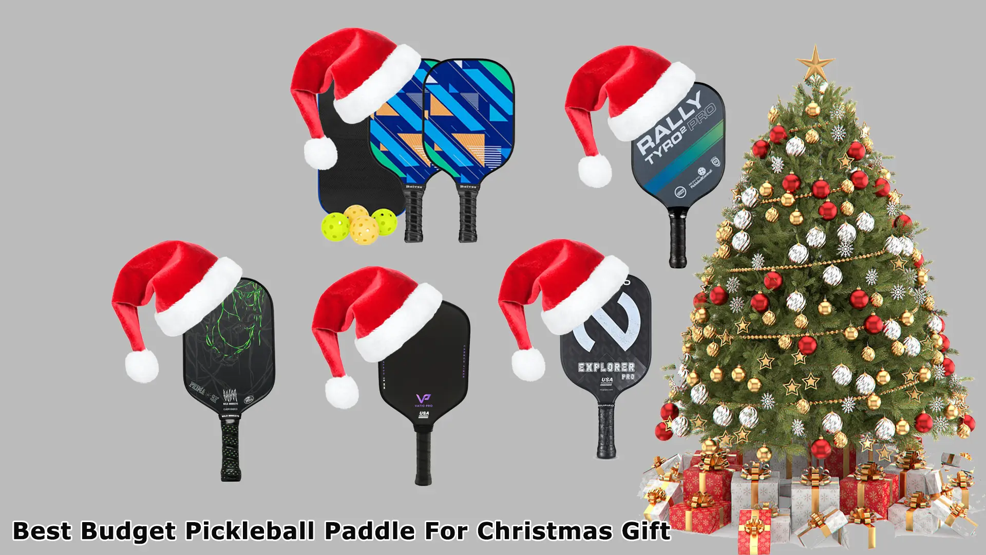 Best Budget Pickleball Paddle For Christmas Gift